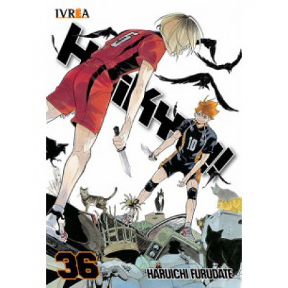 Haikyu!! 36